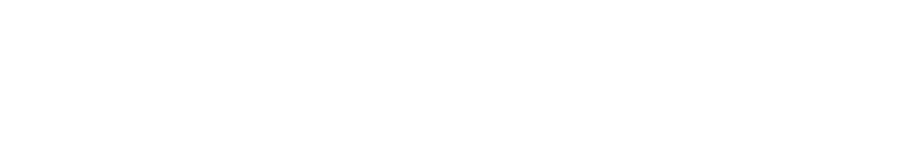 高速美術印刷 ナビバック